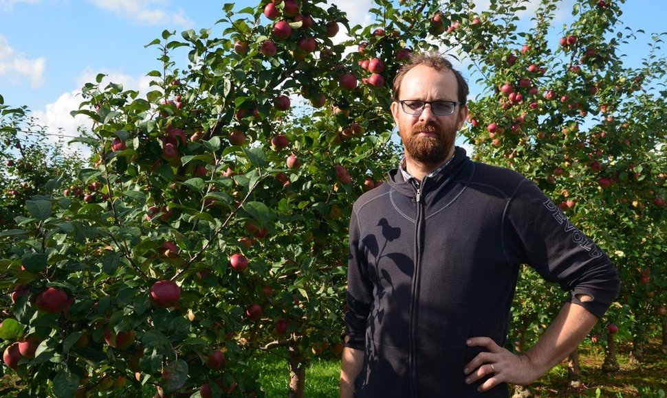 Paulius Speičys pasakojo, kad nors šįmet auginant obuolius teko susidurti net su keliais iššūkiais, bet obuolių priskins – tik kur kas mažiau