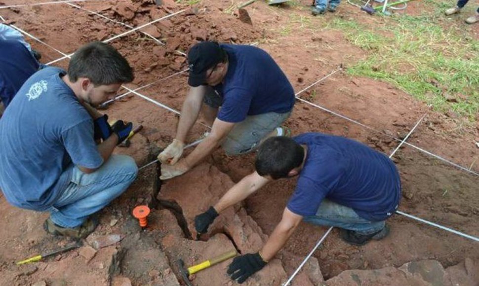 Archeologai, pietinėje Brazilijos dalyje atkasantys anksčiau nežinotos dinozaurų rūšies fosilijas.