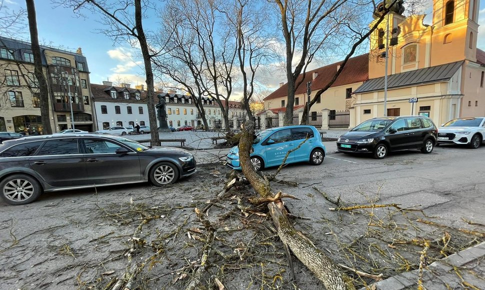 Vilniuje nuo vėjo nukentėjo automobilis