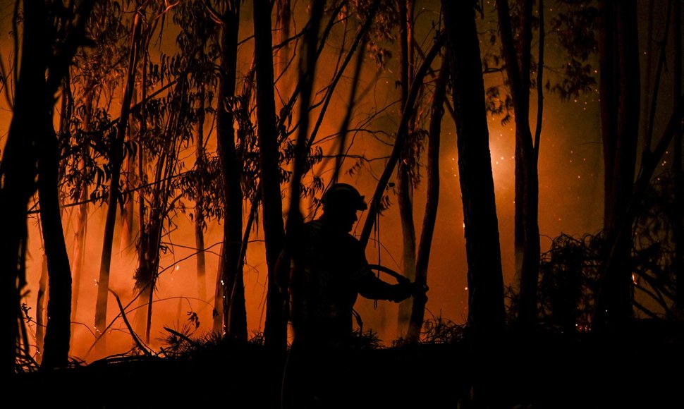 Miškų gaisrai Portugalijoje