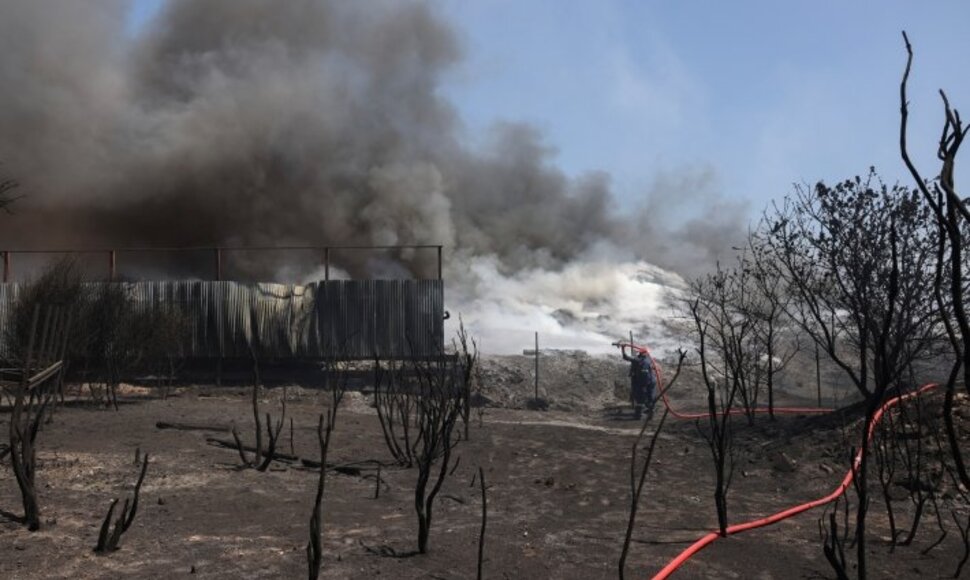 REUTERS-Scanpix nuotr.