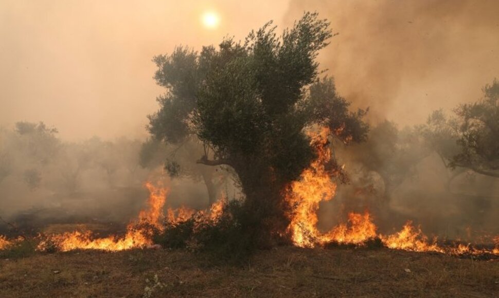 REUTERS-Scanpix nuotr.