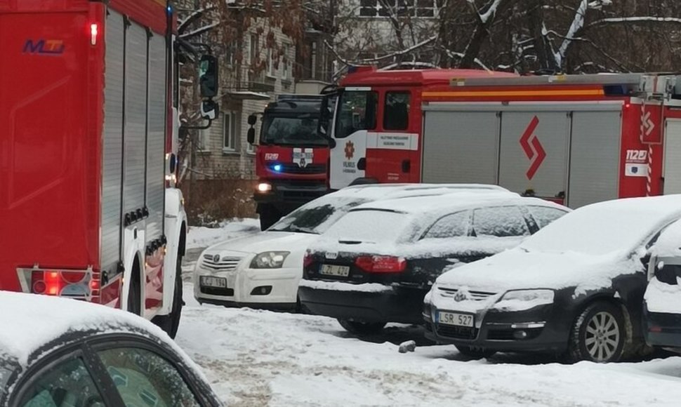 Ugniagesių mašinos Ingridos Steniulienės/ BNS asociatyvi nuotrauka.