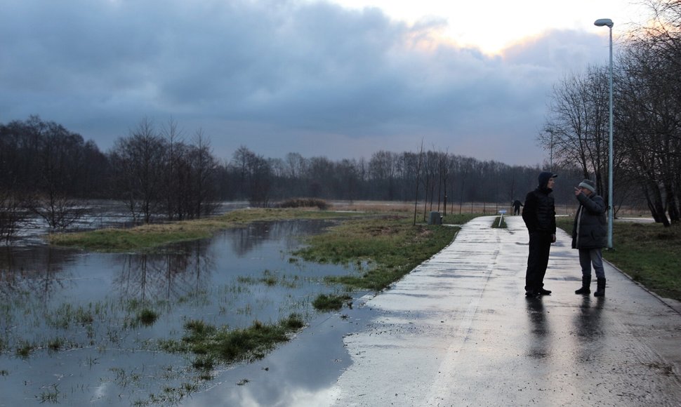 Dviračių takas palei Danę Klaipėdoje. Jurgita Andriejauskaitė nuotr.