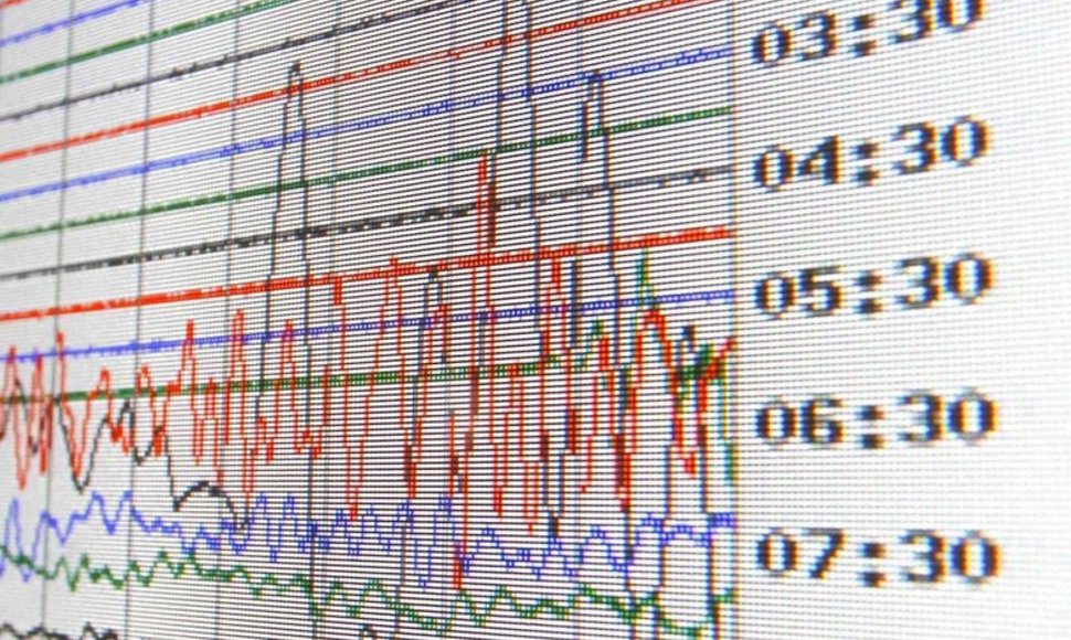 Seismografinė diagrama rodo Japonijos žemės drebėjimo stiprumą. / David Moir / REUTERS