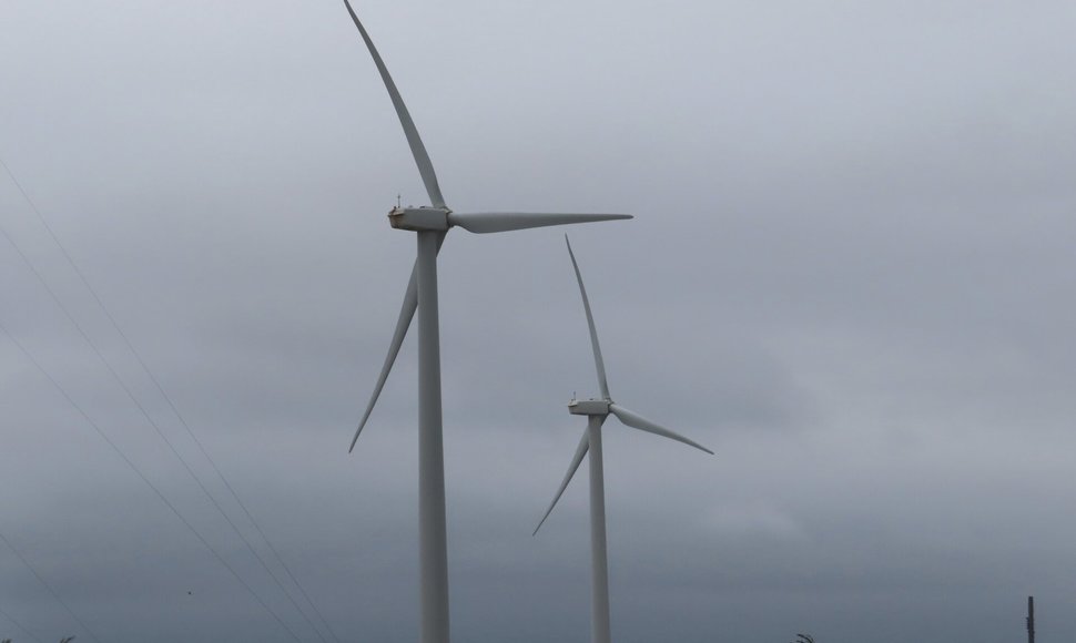 Offshore vėjo jėgainių teisiniai ginčai. / Wayne Parry / AP