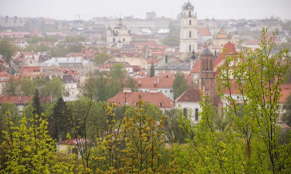 Lietaus gaivinamas Vilnius ir jo gamta / BNS nuotr.