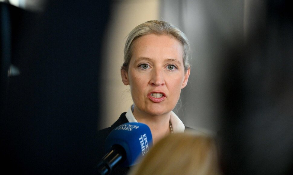 Alice Weidel / RALF HIRSCHBERGER / AFP