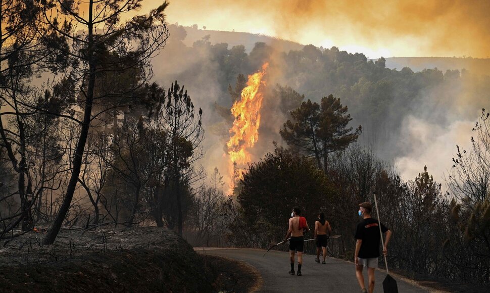 Gaisrai Ispanijoje / MIGUEL RIOPA / AFP