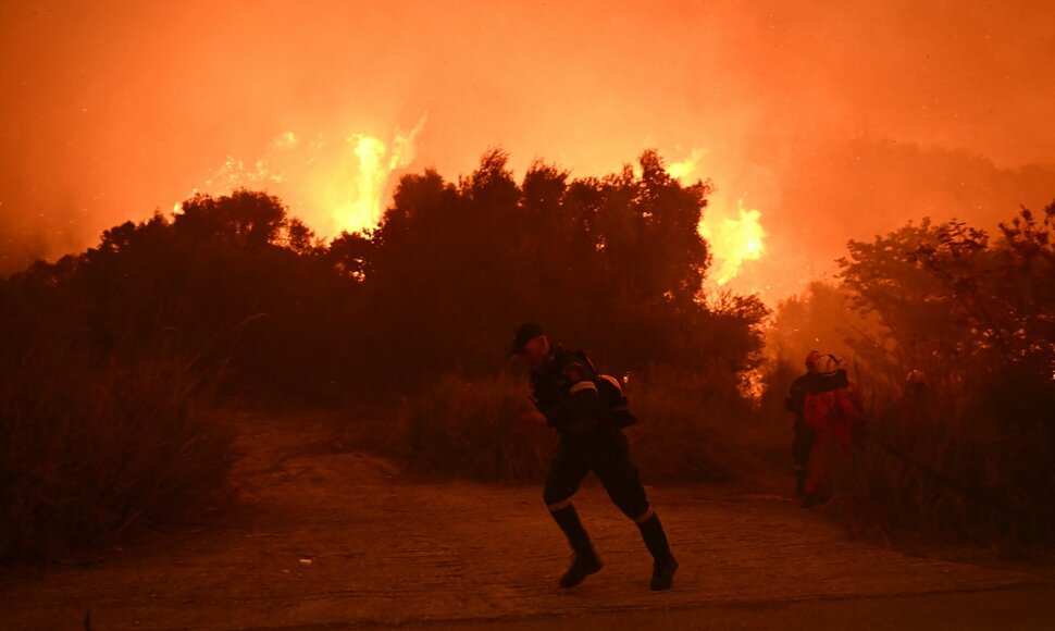 Gamtinis gaisras Graikijoje / ARIS MESSINIS / AFP