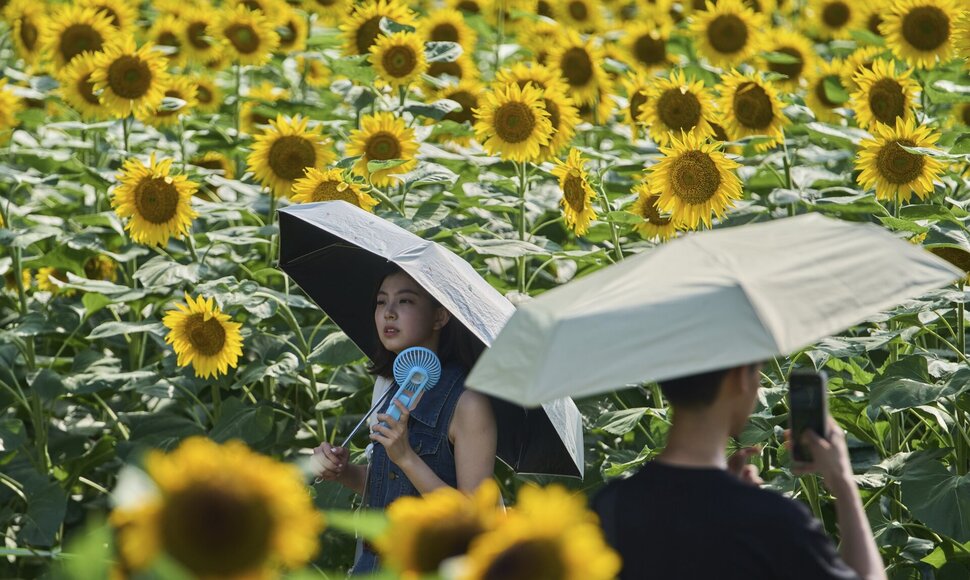 Andy Wong / AP