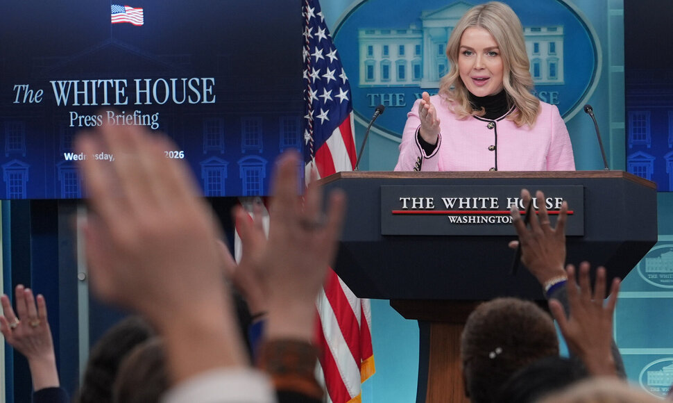 Karoline Leavitt /  / AP