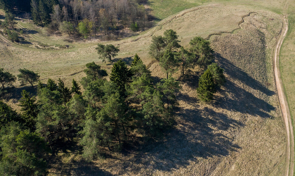 Asociatyvi nuotrauka / Lukas Balandis nuotr.