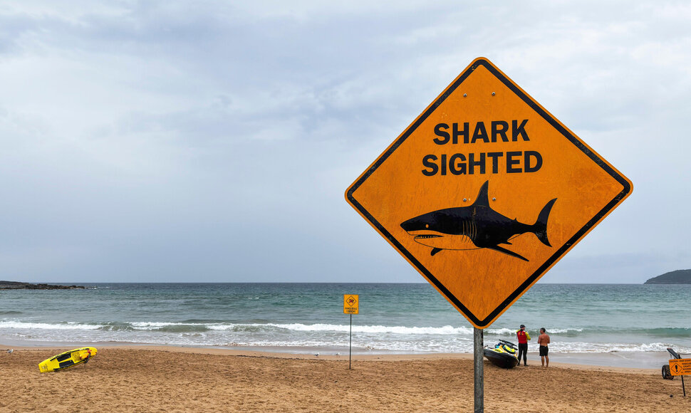Frank Molter / Alamy