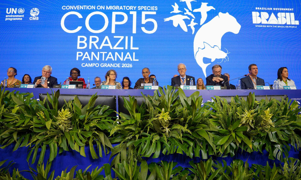 COP15 / FERNANDO DONASCI / AFP