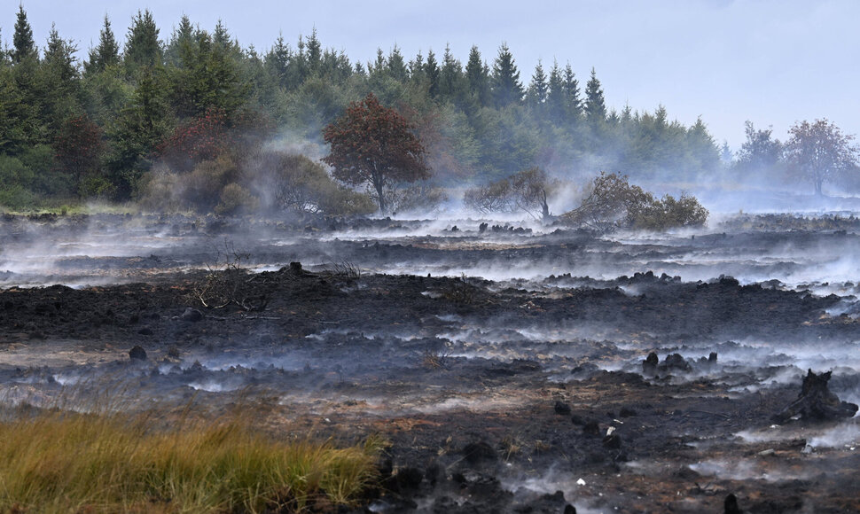 Belgija / IMAGO/Didier Lebrun / IMAGO/Photo News