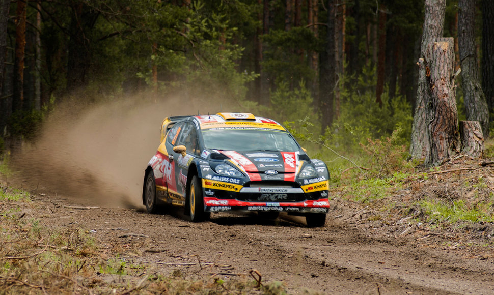 WRC bolidai