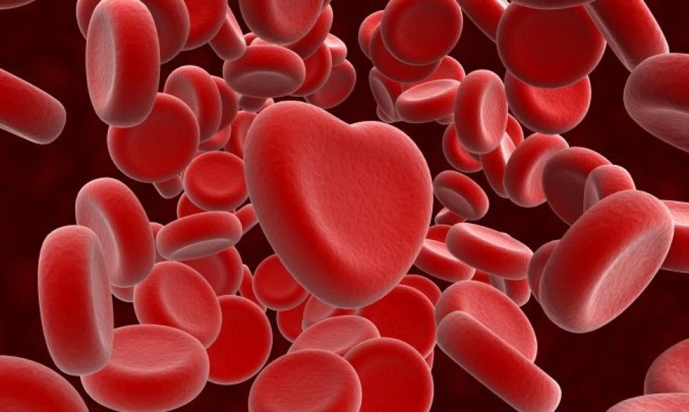 Meilė ir kraujo grupė 
