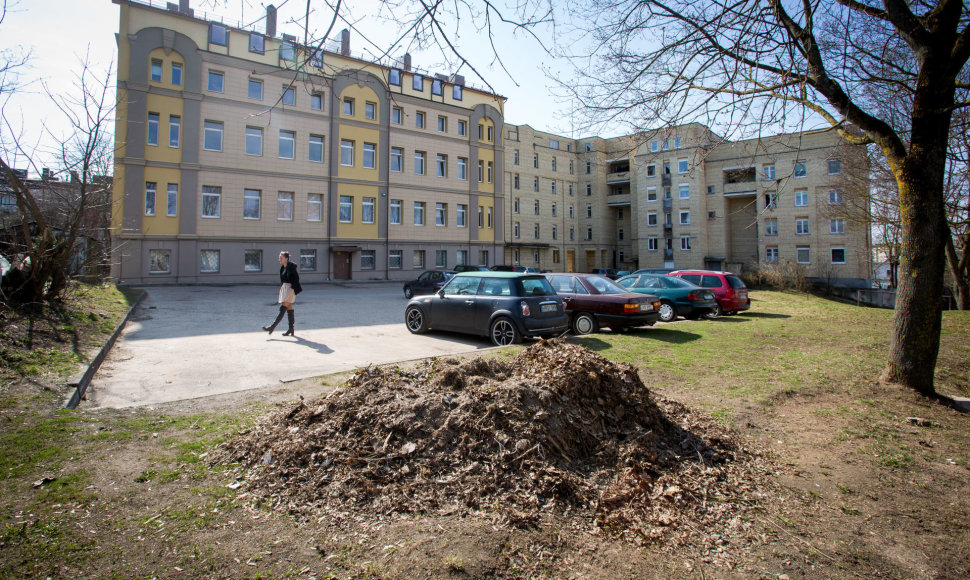 Pernykščių lapų krūva sostinės Adutiškio gatvėje