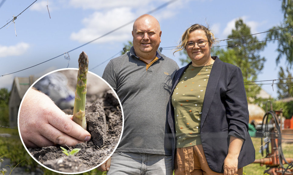 Kalnujų miestelis ir Žemkauskų ūkis 