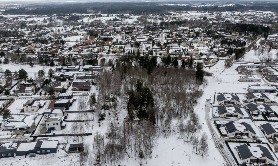 Sklypas Avižienių kaime