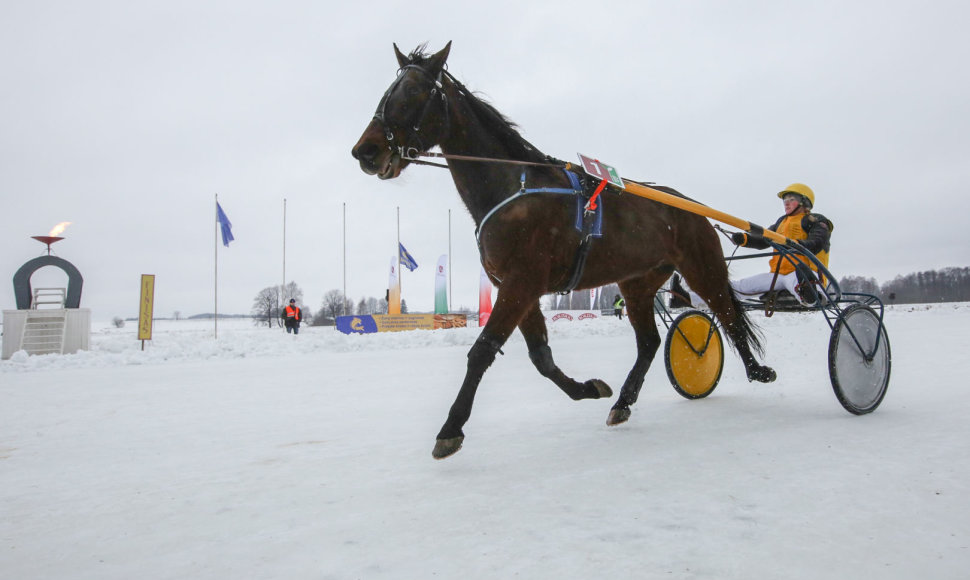 Dusetose vyksta tradicinės respublikinės ristūnų žirgų lenktynės „Sartai 2019“