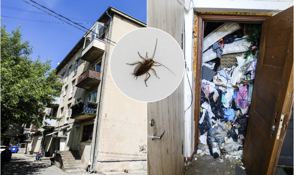 Šiuklėmis užverstas butas K.Petrausko atvėje Kaune