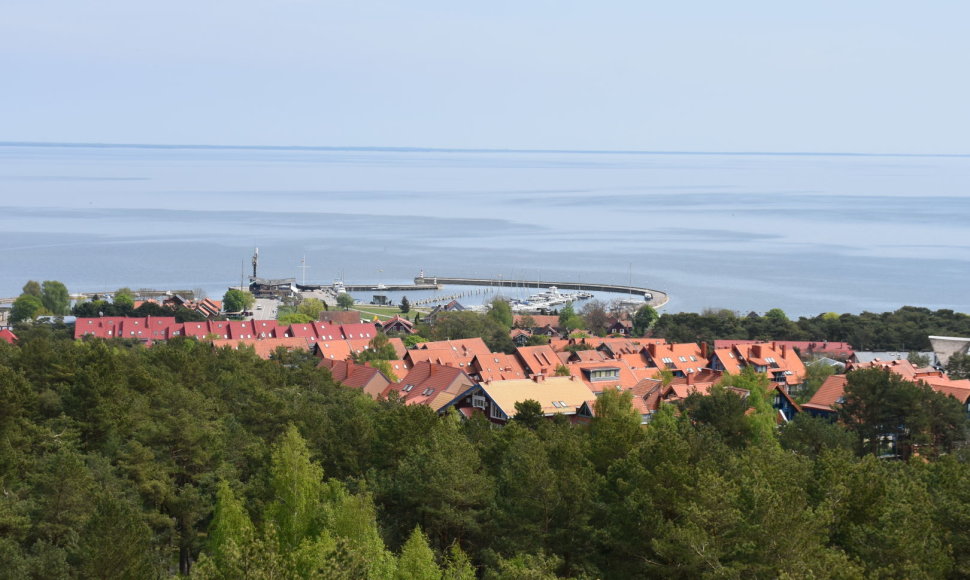 Neringa pradeda švęsti gimtadienį.