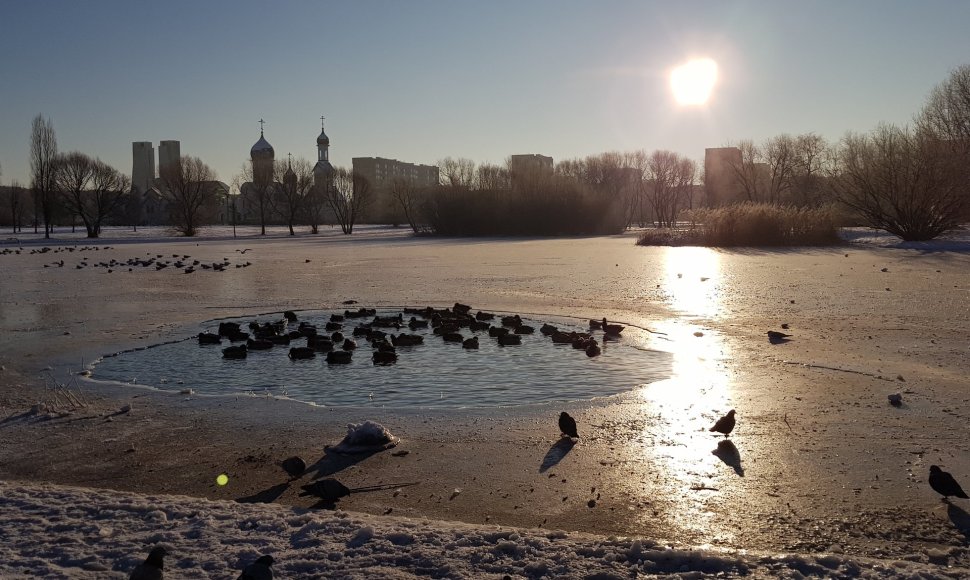 Specialistų teigimu, ledas dar nesaugus.