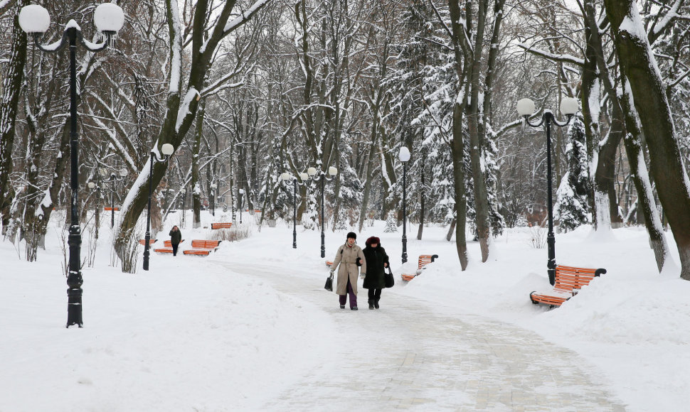 Sniegas Kijeve