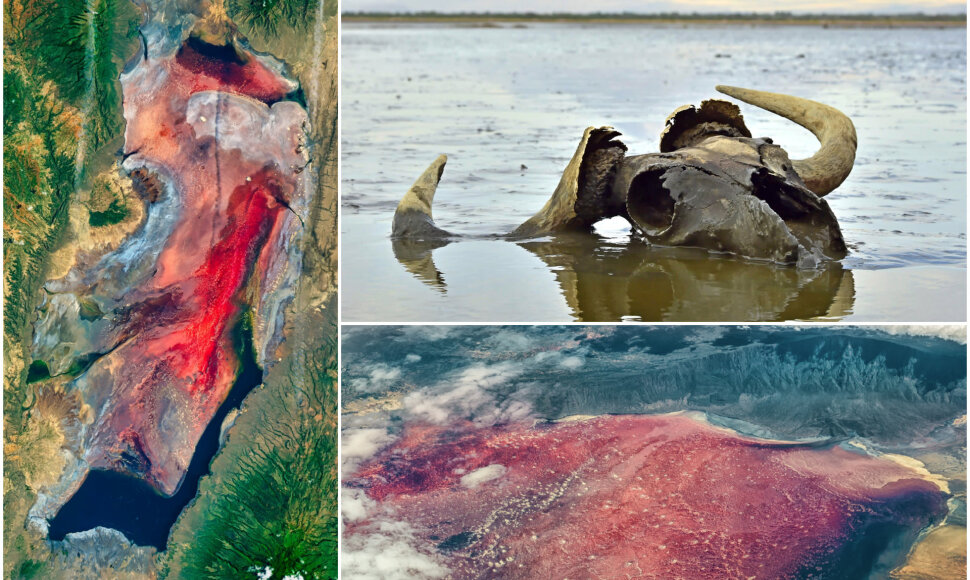Sodos ežeras (angl. Lake Natron), Tanzanija