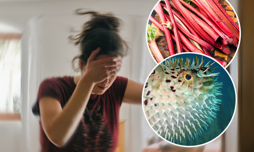 Pavojingiausi maisto produktai pasaulyje