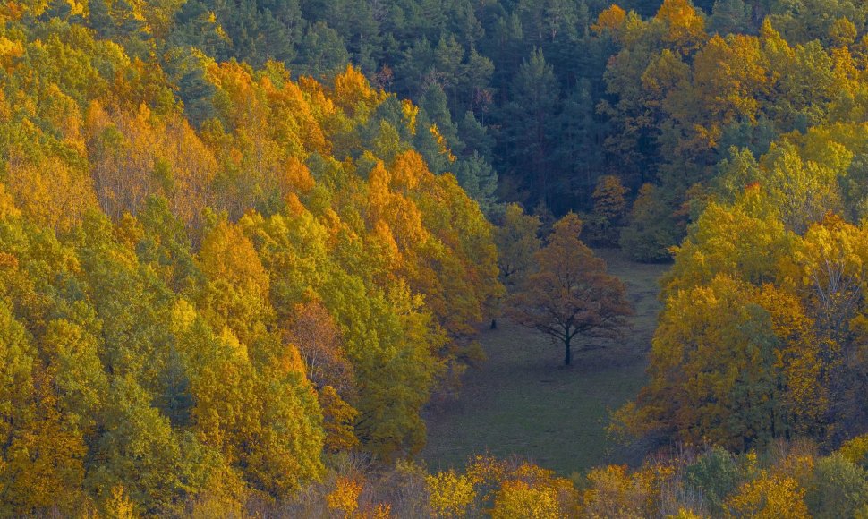 Pasakiškas ruduo Lietuvoje