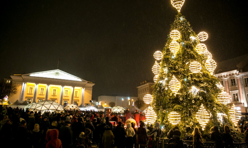 Kalėdų eglė Rotušės aikštėje Vilniuje