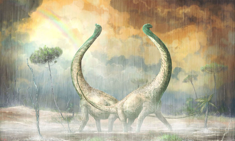 Kreidos periodo ilgakakliai dinozaurai (zauropodai) Mnyamawamtuka 