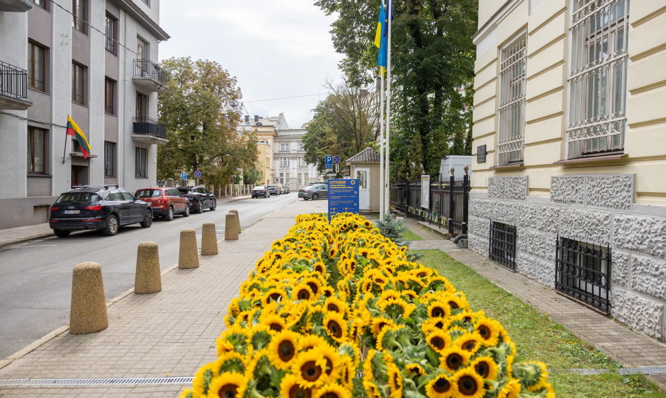 Saulėgrąžų žiedai prie Ukrainos ambasados