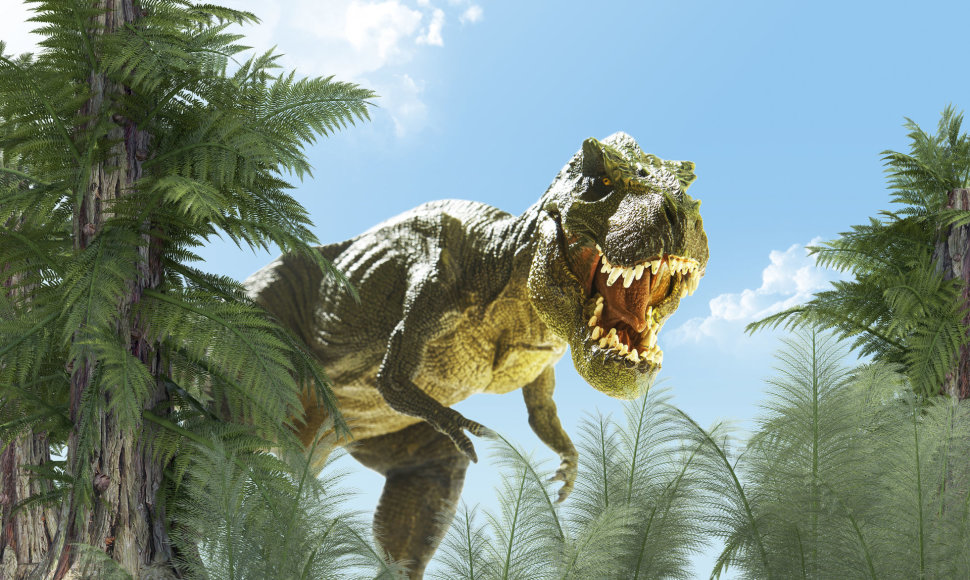 Tiranozauras yra vienas didžiausių kada gyvenusių sausumos plėšrūnų
