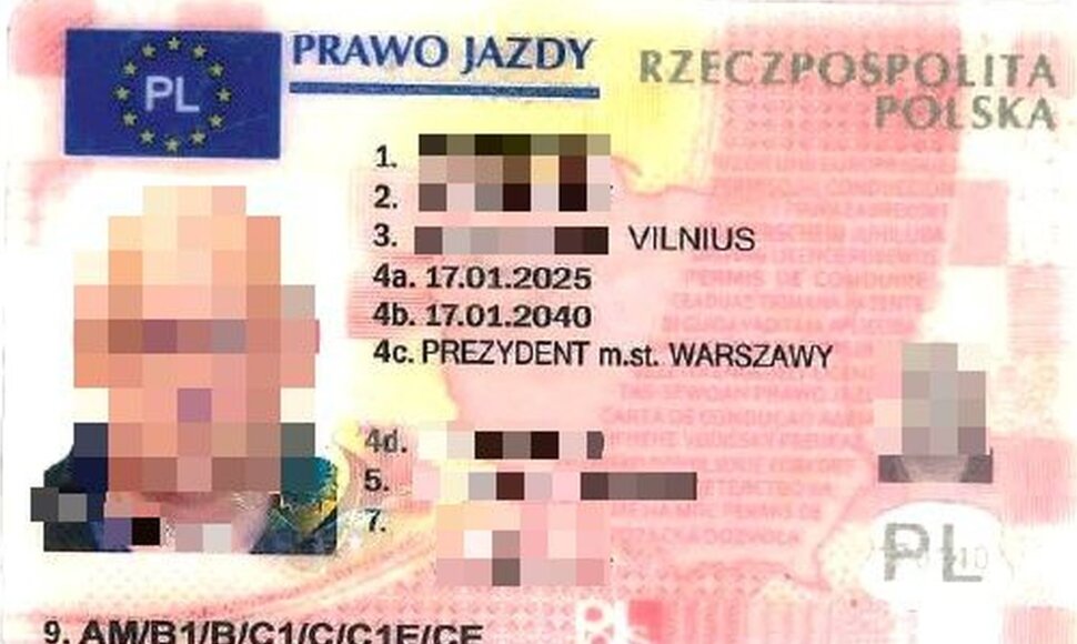 Bylos įkalčiai: neva lenki&scaron;ko vairuotojo pažymėjimo klastotė