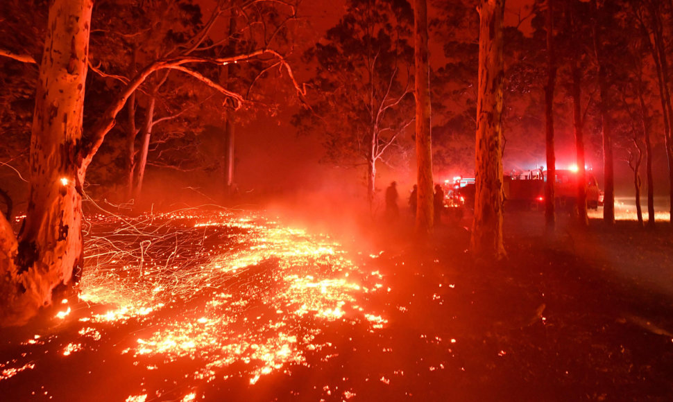 Miško gaisras Australijoje