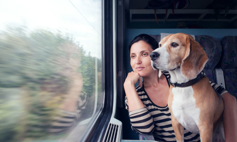 Kelionė traukiniu su šunimi