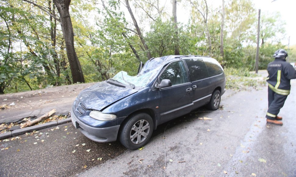 Kaune ant pravažiuojančios mašinos užgriuvęs medis sužalojo vairuotoją