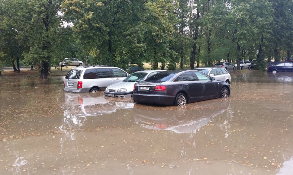 Penktadienio liūtis skandino Vilnių (P.Vileišio g.)  2014 m. rugpjūčio 08 d. 