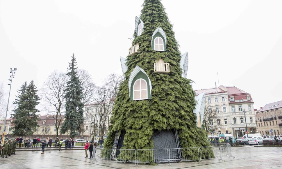 Kalėdų eglė Vilniaus Katedros aikštėje