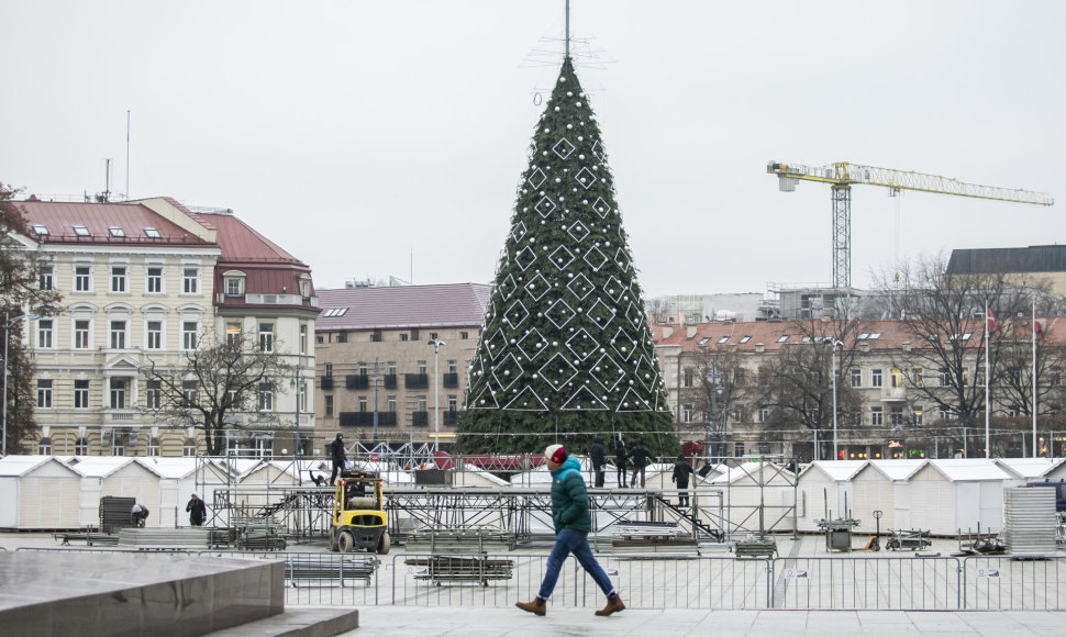 Sostinės Katedros aikštėje statoma Kalėdų eglė