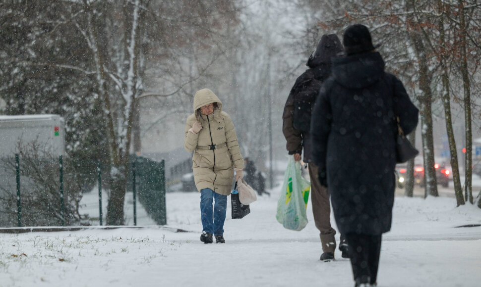 Visoje Lietuvoje gausiai sninga