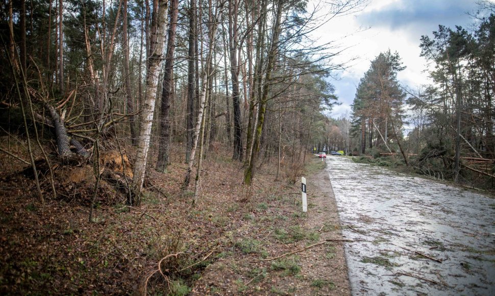 Stipraus vėjo padariniai Vilniaus mieste ir apylinkėse