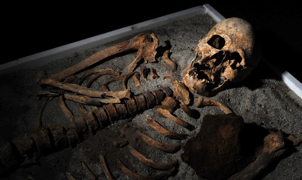 „Vampyro“ skeletas, eksponuotas Bulgarijos muziejuje