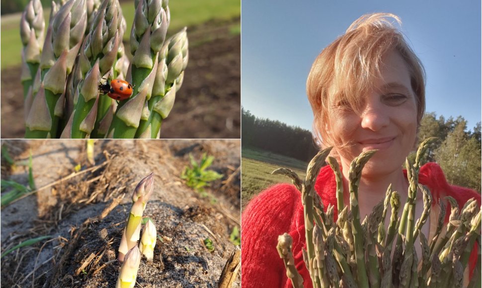 Enrika Karvelienė ir jos auginti smidrai