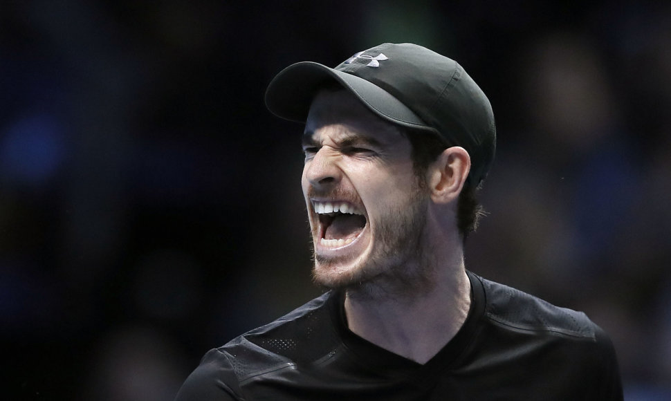 Andy Murray prieš Mariną Čiličių