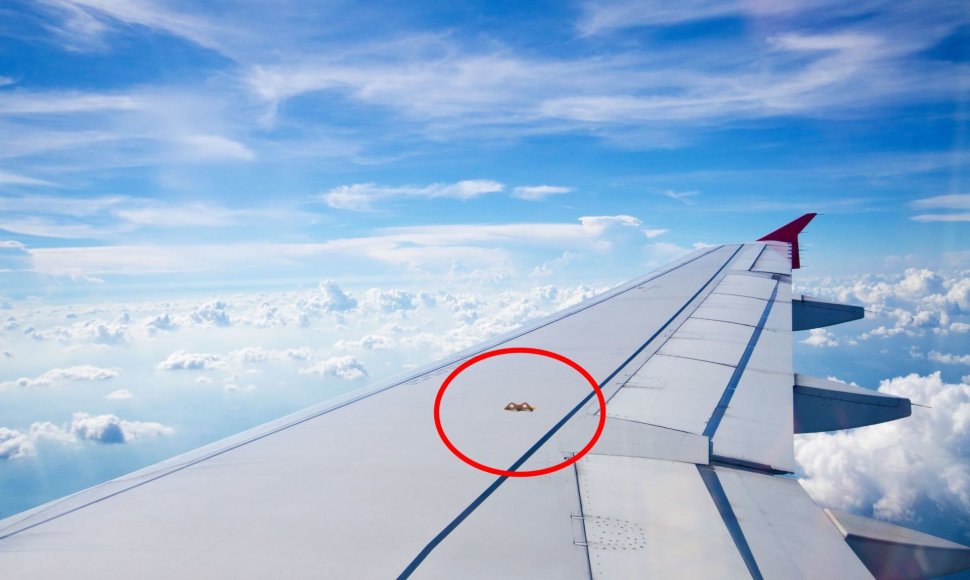 Kam reikalingi tie nedideli kabliukai ant lėktuvo sparnų?
